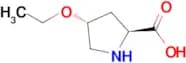 (2S,4R)-4-Ethoxypyrrolidine-2-carboxylic acid