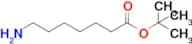tert-Butyl 7-aminoheptanoate