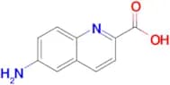 6-Aminoquinoline-2-carboxylic acid