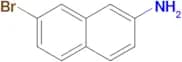 7-Bromonaphthalen-2-amine