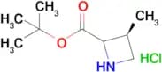 tert-Butyl (3S)-3-methylazetidine-2-carboxylate hydrochloride