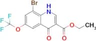 ethyl 8-bromo-4-oxo-6-(trifluoromethoxy)-1,4-dihydroquinoline-3-carboxylate