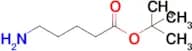 tert-Butyl 5-aminopentanoate