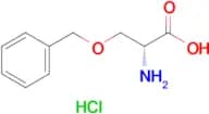 O-Benzyl-D-serine hydrochloride