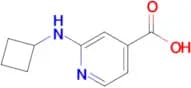2-(Cyclobutylamino)isonicotinic acid