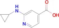 2-(Cyclopropylamino)isonicotinic acid