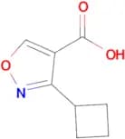 3-Cyclobutylisoxazole-4-carboxylic acid