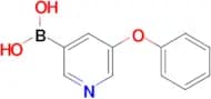 (5-Phenoxypyridin-3-yl)boronic acid