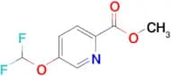 Methyl 5-(difluoromethoxy)picolinate