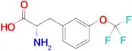 (S)-2-Amino-3-(3-(trifluoromethoxy)phenyl)propanoic acid
