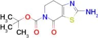 tert-Butyl 2-amino-4-oxo-6,7-dihydrothiazolo[5,4-c]pyridine-5(4H)-carboxylate
