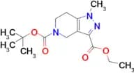 5-(tert-Butyl) 3-ethyl 1-methyl-1,4,6,7-tetrahydro-5H-pyrazolo[4,3-c]pyridine-3,5-dicarboxylate