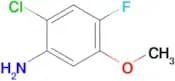 2-Chloro-4-fluoro-5-methoxy-phenylamine