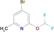 4-Bromo-2-(difluoromethoxy)-6-methylpyridine