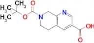 7-(tert-Butoxycarbonyl)-5,6,7,8-tetrahydro-1,7-naphthyridine-3-carboxylic acid
