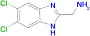 (5,6-Dichloro-1H-benzo[d]imidazol-2-yl)methanamine