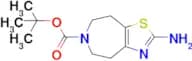 tert-Butyl 2-amino-4,5,7,8-tetrahydro-6H-thiazolo[4,5-d]azepine-6-carboxylate