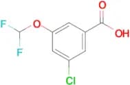 3-Chloro-5-(difluoromethoxy)benzoic acid