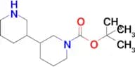 Tert-Butyl [3,3'-bipiperidine]-1-carboxylate
