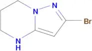 2-Bromo-4,5,6,7-tetrahydropyrazolo[1,5-a]pyrimidine