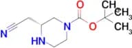 tert-Butyl (R)-3-(cyanomethyl)piperazine-1-carboxylate