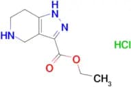 Ethyl 4,5,6,7-tetrahydro-1H-pyrazolo[4,3-c]pyridine-3-carboxylate hydrochloride