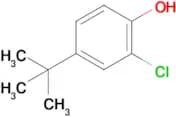 4-Tert-butyl-2-chlorophenol