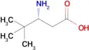 (R)-3-Amino-4,4-dimethylpentanoic acid