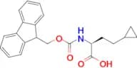 (S)-2-((((9H-Fluoren-9-yl)methoxy)carbonyl)amino)-4-cyclopropylbutanoic acid
