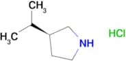 (3S)-3-(Propan-2-yl)pyrrolidine hydrochloride