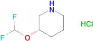 (3S)-3-(Difluoromethoxy)piperidine hydrochloride