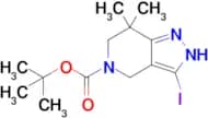 tert-butyl 3-iodo-7,7-dimethyl-2H,4H,5H,6H,7H-pyrazolo[4,3-c]pyridine-5-carboxylate