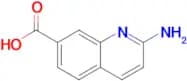2-Aminoquinoline-7-carboxylic acid