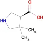 (3S)-4,4-Dimethyl-pyrrolidine-3-carboxylic acid