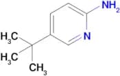 5-(tert-Butyl)pyridin-2-amine