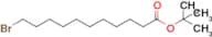 tert-Butyl 11-bromoundecanoate