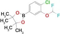 2-(4-Chloro-3-difluoromethoxyphenyl)-4,4,5,5-tetramethyl-1,3,2-dioxaborolane