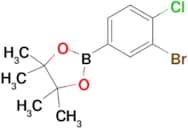 2-(3-Bromo-4-chlorophenyl)-4,4,5,5-tetramethyl-1,3,2-dioxaborolane