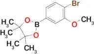 2-(4-Bromo-3-methoxyphenyl)-4,4,5,5-tetramethyl-1,3,2-dioxaborolane