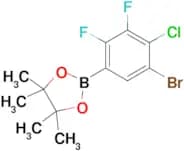 5-Bromo-4-chloro-2,3-difluorophenylboronic acid pinacol ester