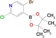 5-Bromo-2-chloropyridine-4-boronic acid, pinacol ester