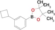 3-Cyclobutylphenylboronic acid pinacol ester