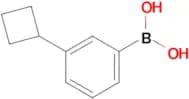 3-Cyclobutylphenylboronic acid
