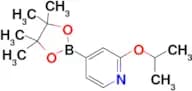2-Isopropoxypyridine-4-boronic acid pinacol ester