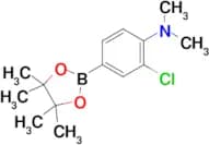 3-Chloro-4-(N,N-dimethylamino)phenylboronic acid pinacol ester