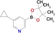 5-Cyclopropylpyridine-3-boronic acid pinacol ester