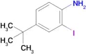 4-tert-Butyl-2-iodo-aniline