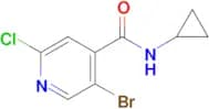 5-Bromo-2-chloro-N-cyclopropylisonicotinamide