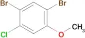 1,5-Dibromo-2-chloro-4-methoxybenzene