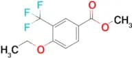 Methyl 4-ethoxy-3-(trifluoromethyl)benzoate